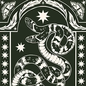 Ilustración de en tinta verde de serpe e motivos xeométricos